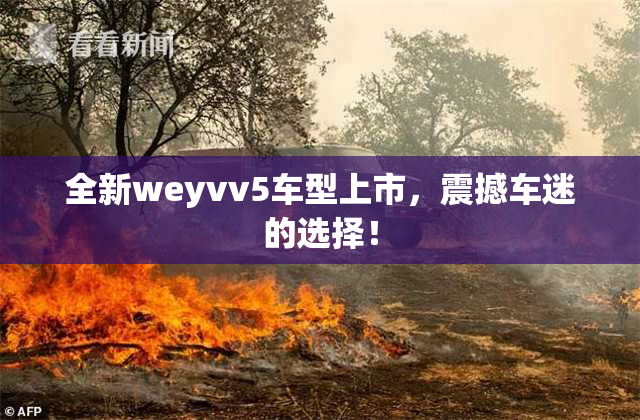 全新weyvv5车型上市，震撼车迷的选择！