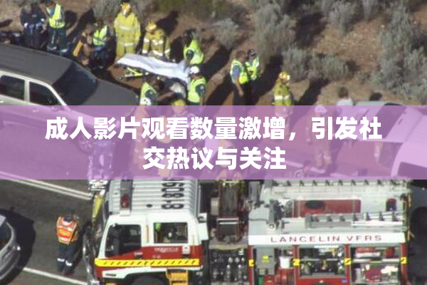 成人影片观看数量激增，引发社交热议与关注