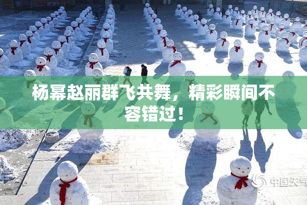 杨幂赵丽群飞共舞，精彩瞬间不容错过！