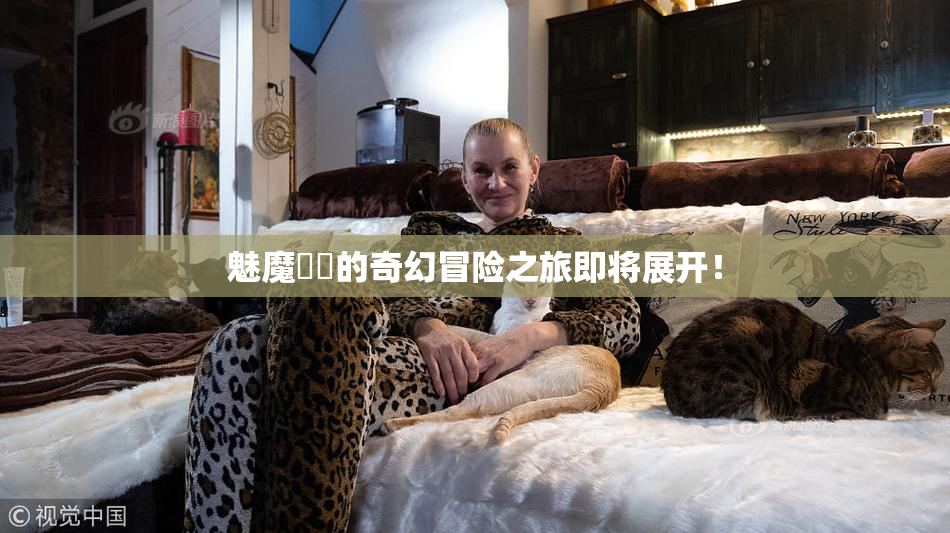 魅魔妺妺的奇幻冒险之旅即将展开！