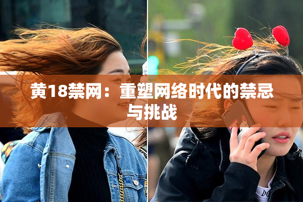 黄18禁网：重塑网络时代的禁忌与挑战