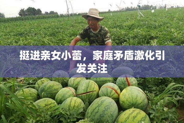 挺进亲女小蕾，家庭矛盾激化引发关注