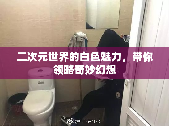 二次元世界的白色魅力，带你领略奇妙幻想