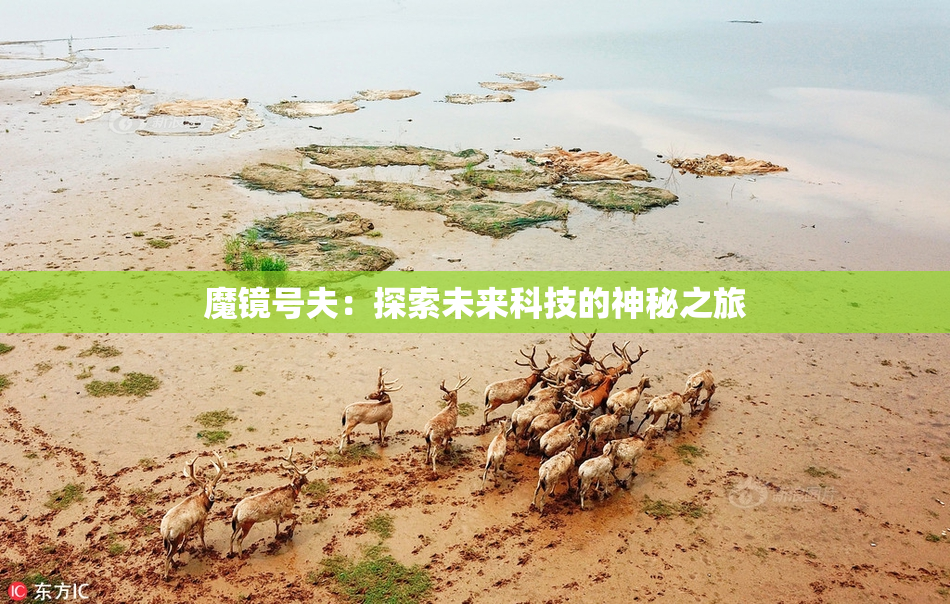 魔镜号夫：探索未来科技的神秘之旅
