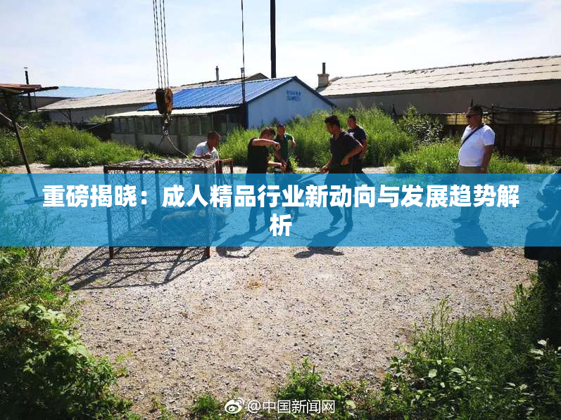 重磅揭晓：成人精品行业新动向与发展趋势解析