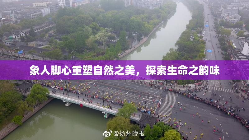 象人脚心重塑自然之美，探索生命之韵味