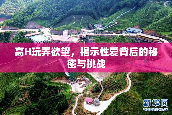 高H玩弄欲望，揭示性爱背后的秘密与挑战