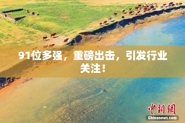 91位多强，重磅出击，引发行业关注！