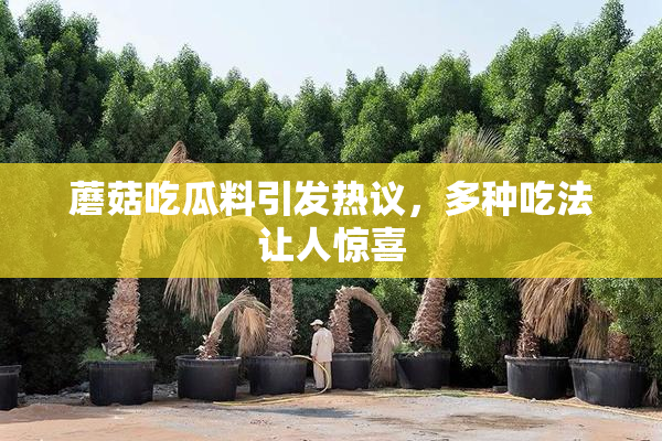 蘑菇吃瓜料引发热议，多种吃法让人惊喜