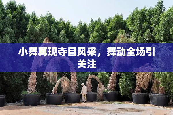 小舞再现夺目风采，舞动全场引关注