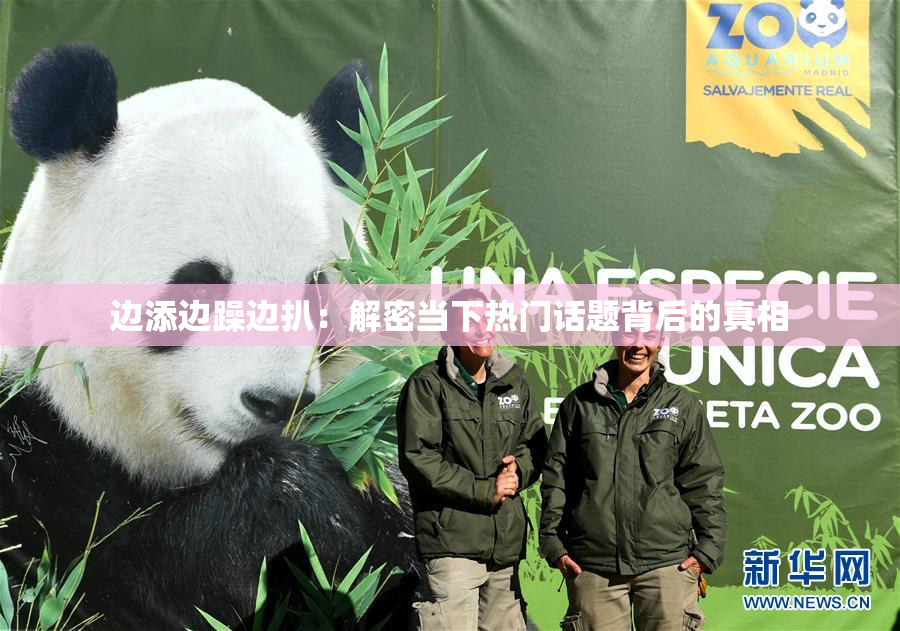 边添边躁边扒：解密当下热门话题背后的真相