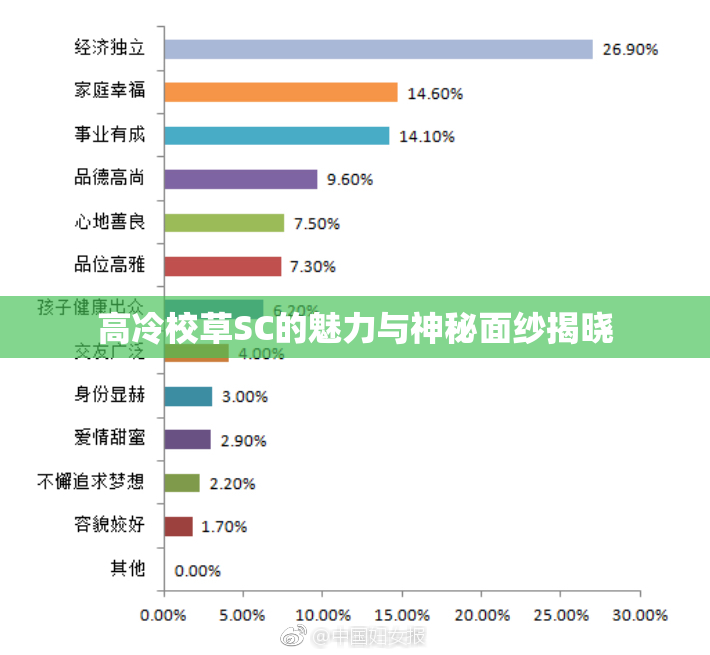 高冷校草SC的魅力与神秘面纱揭晓