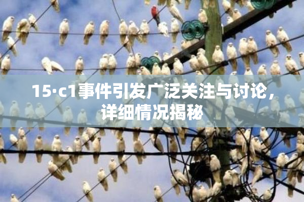 15·c1事件引发广泛关注与讨论，详细情况揭秘