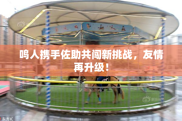 鸣人携手佐助共闯新挑战，友情再升级！