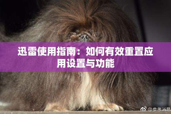 迅雷使用指南：如何有效重置应用设置与功能