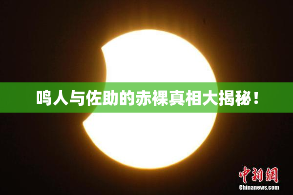 鸣人与佐助的赤裸真相大揭秘！
