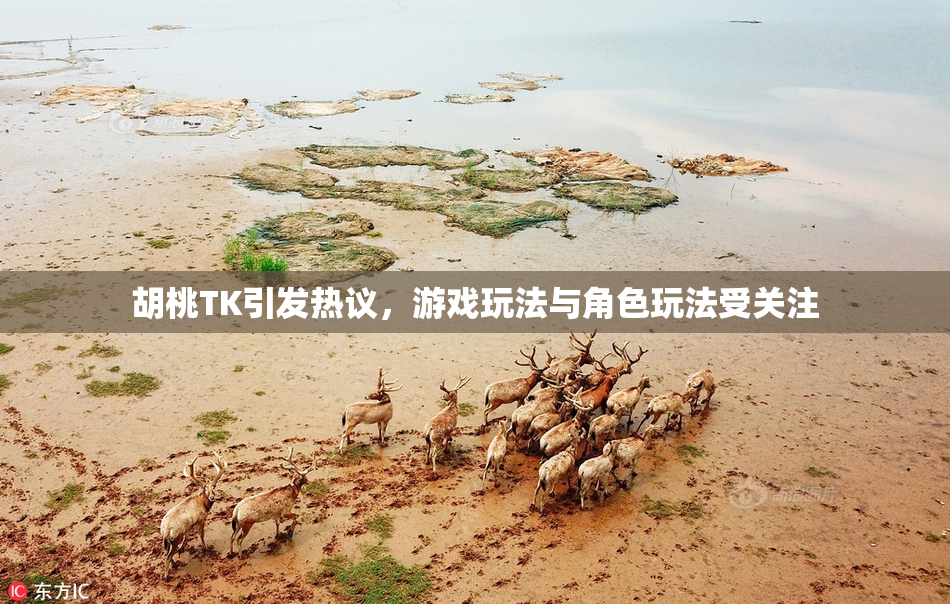 胡桃TK引发热议，游戏玩法与角色玩法受关注