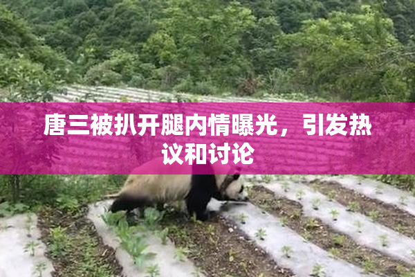 唐三被扒开腿内情曝光，引发热议和讨论