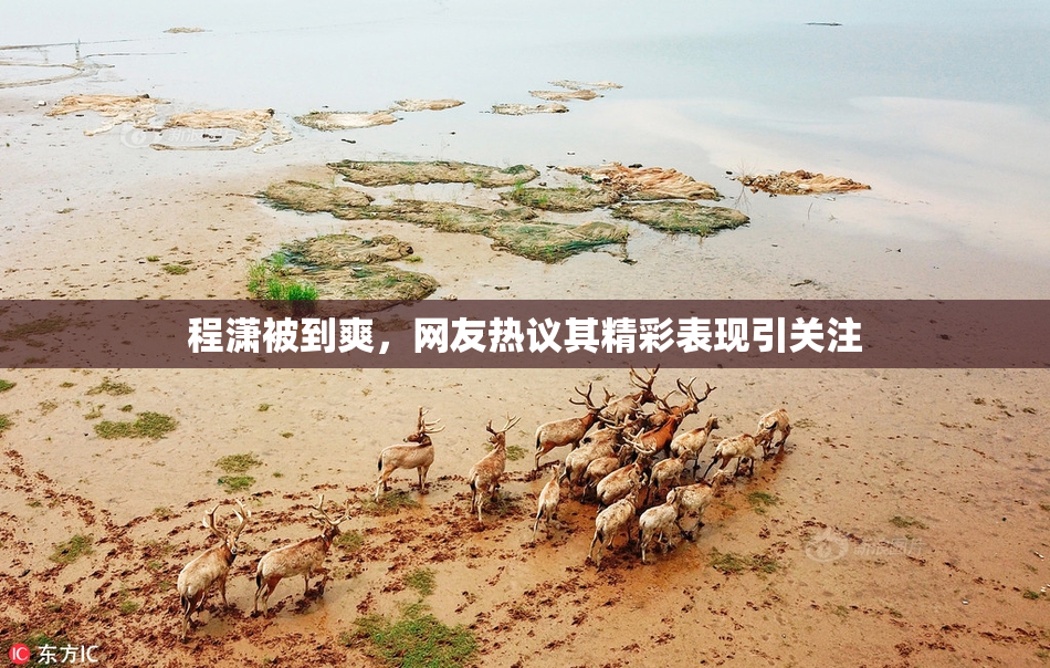 程潇被到爽，网友热议其精彩表现引关注