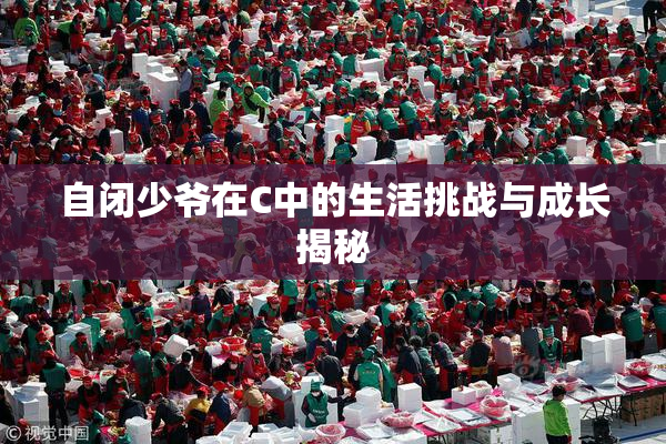 自闭少爷在C中的生活挑战与成长揭秘