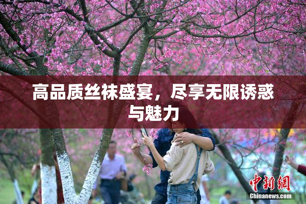 高品质丝袜盛宴，尽享无限诱惑与魅力