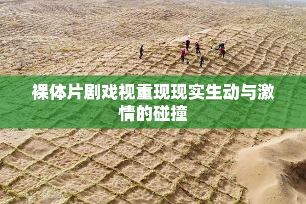 裸体片剧戏视重现现实生动与激情的碰撞