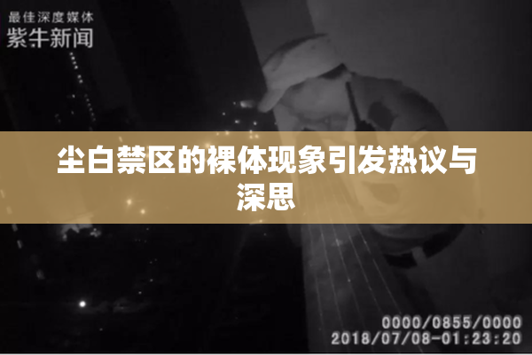 尘白禁区的裸体现象引发热议与深思