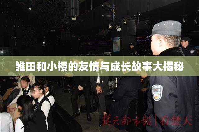 雏田和小樱的友情与成长故事大揭秘