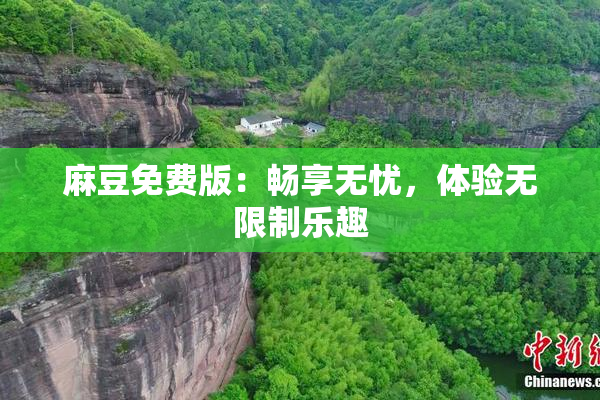 麻豆免费版：畅享无忧，体验无限制乐趣
