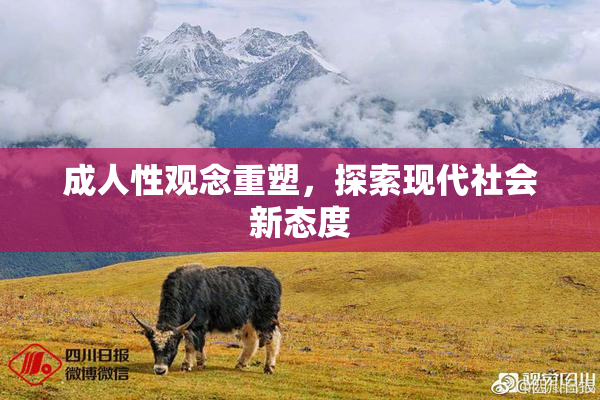 成人性观念重塑，探索现代社会新态度