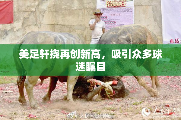 美足轩挠再创新高，吸引众多球迷瞩目