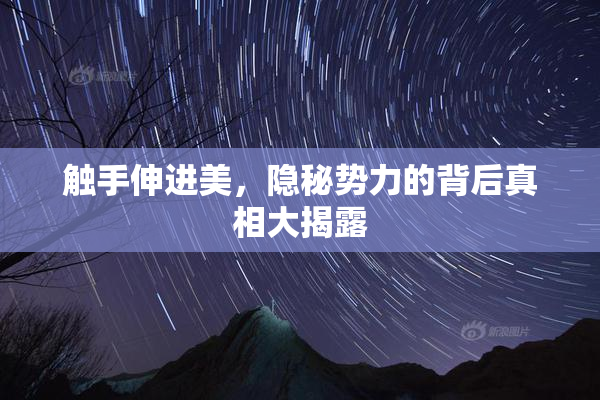 触手伸进美，隐秘势力的背后真相大揭露