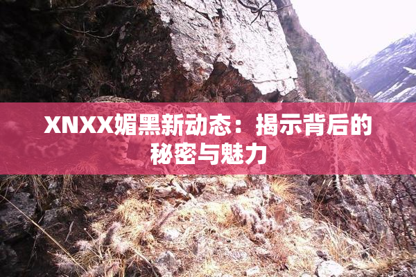 XNXX媚黑新动态：揭示背后的秘密与魅力