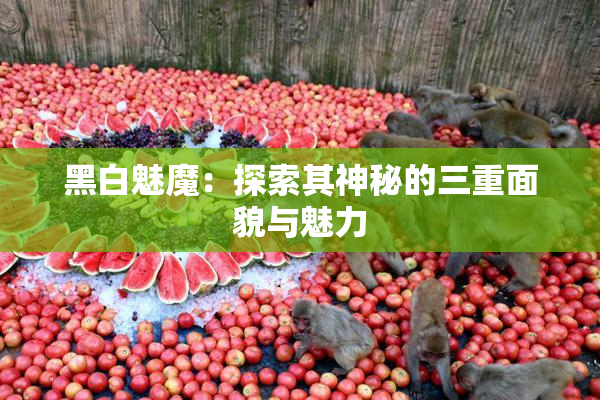 黑白魅魔：探索其神秘的三重面貌与魅力