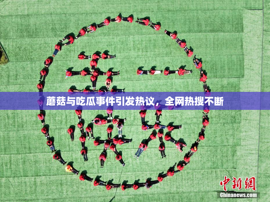 蘑菇与吃瓜事件引发热议，全网热搜不断