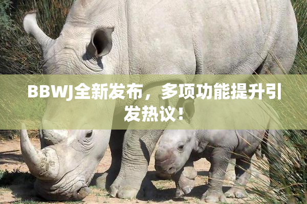 BBWJ全新发布，多项功能提升引发热议！