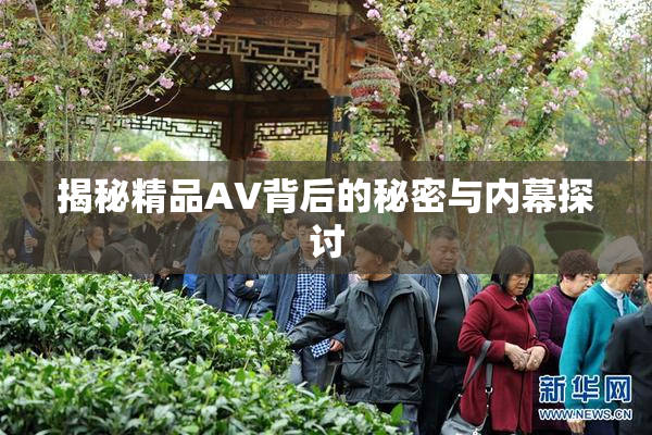揭秘精品AV背后的秘密与内幕探讨