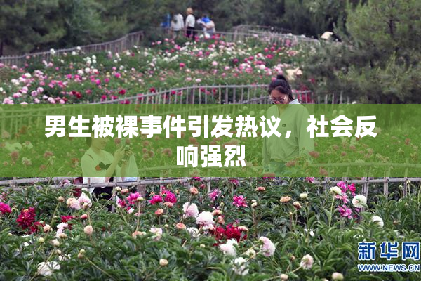男生被裸事件引发热议，社会反响强烈