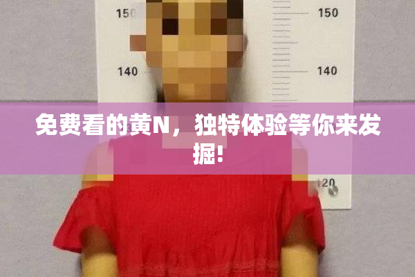 免费看的黄Ν，独特体验等你来发掘!