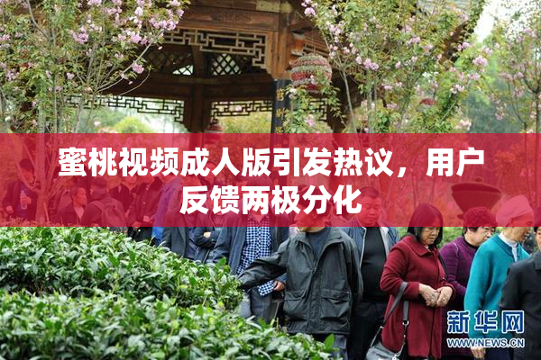 蜜桃视频成人版引发热议，用户反馈两极分化