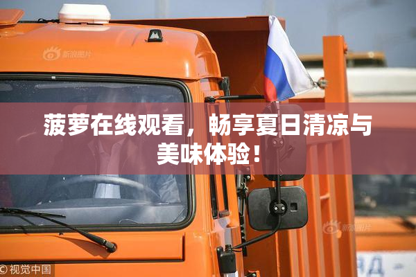 菠萝在线观看，畅享夏日清凉与美味体验！