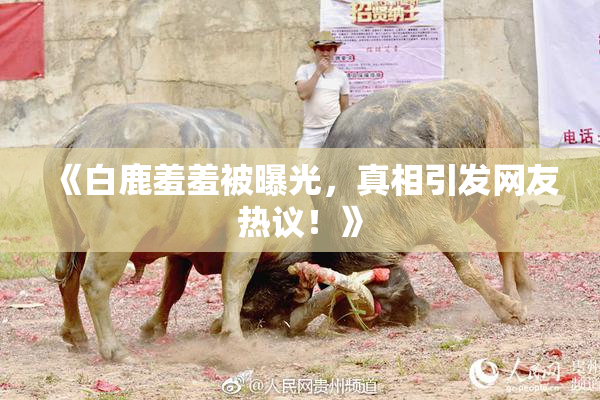 《白鹿羞羞被曝光，真相引发网友热议！》