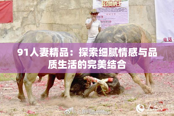 91人妻精品：探索细腻情感与品质生活的完美结合