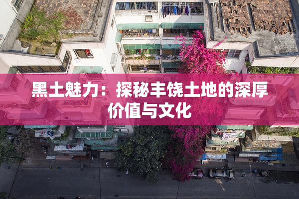 黑土魅力：探秘丰饶土地的深厚价值与文化