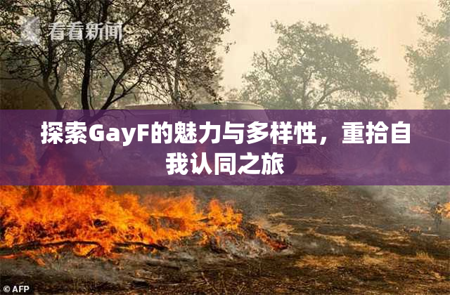 探索GayF的魅力与多样性，重拾自我认同之旅