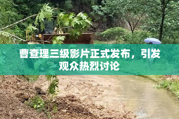 曹查理三级影片正式发布，引发观众热烈讨论