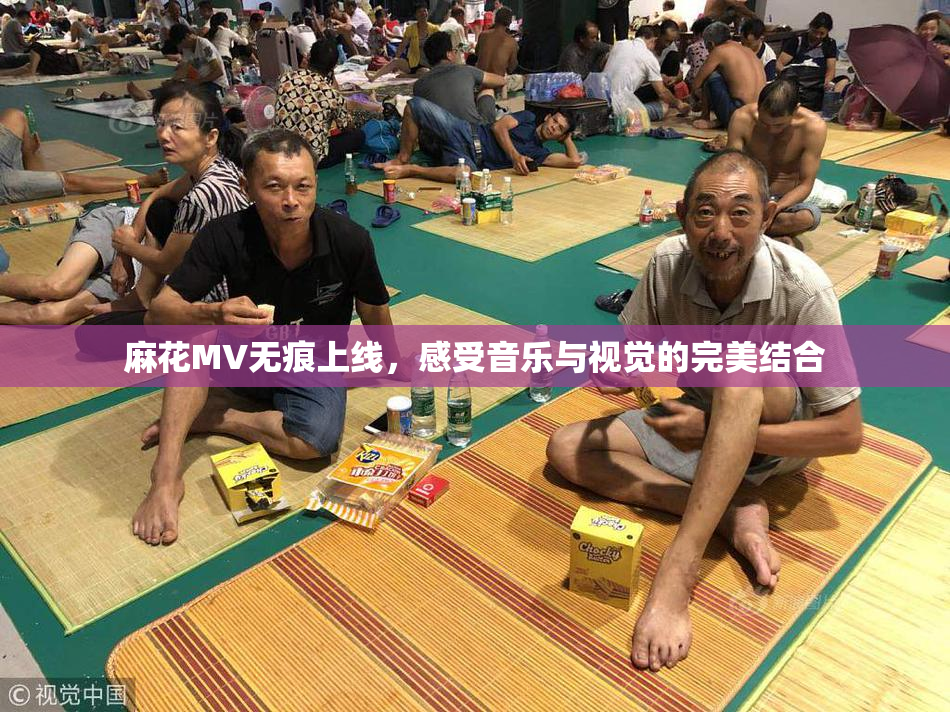 麻花MV无痕上线，感受音乐与视觉的完美结合