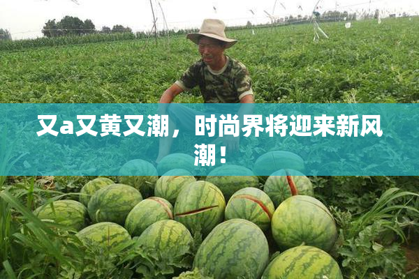 又a又黄又潮，时尚界将迎来新风潮！