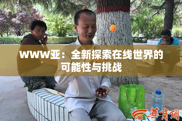 WWW亚：全新探索在线世界的可能性与挑战