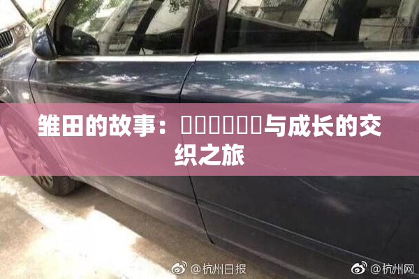 雏田的故事：❌‌❌‌❌‌与成长的交织之旅